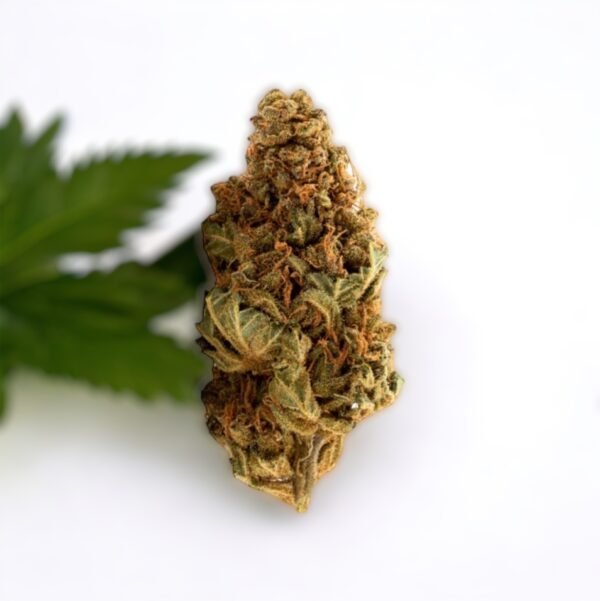 Fleur de CBD Mango Kush