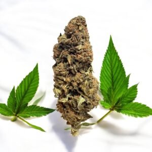 Fleur de CBD Christmas Buds