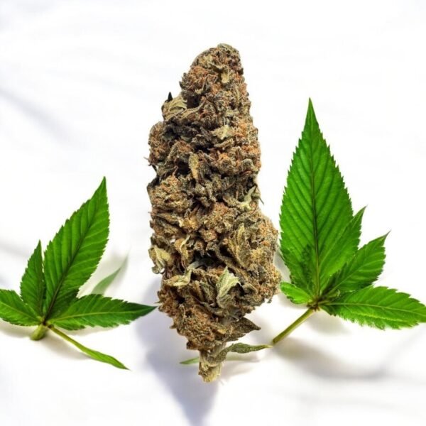 Fleur de CBD Christmas Buds