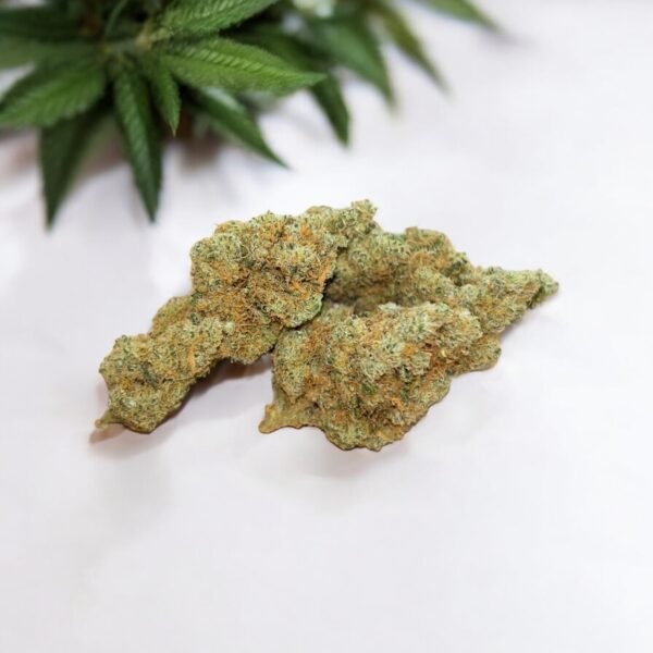 Fleur CBD Mandarine Kush