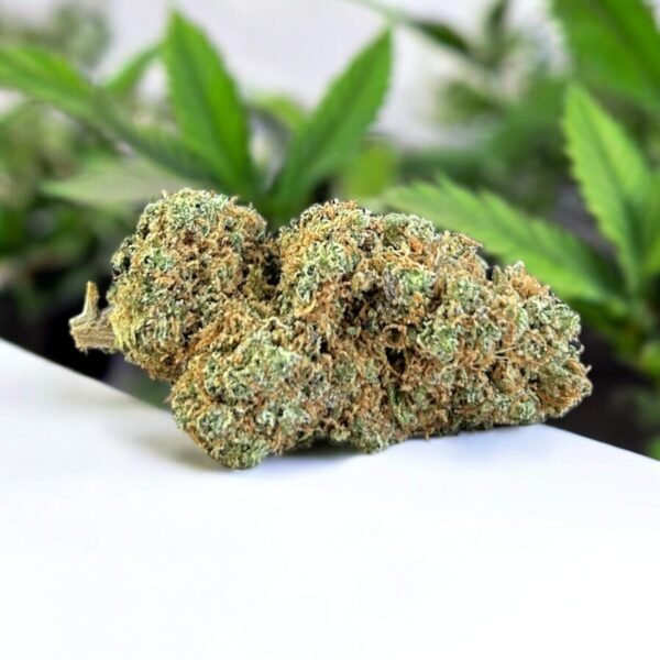fleur de CBD Vegas