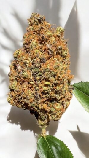 Fleur de CBD Vegas