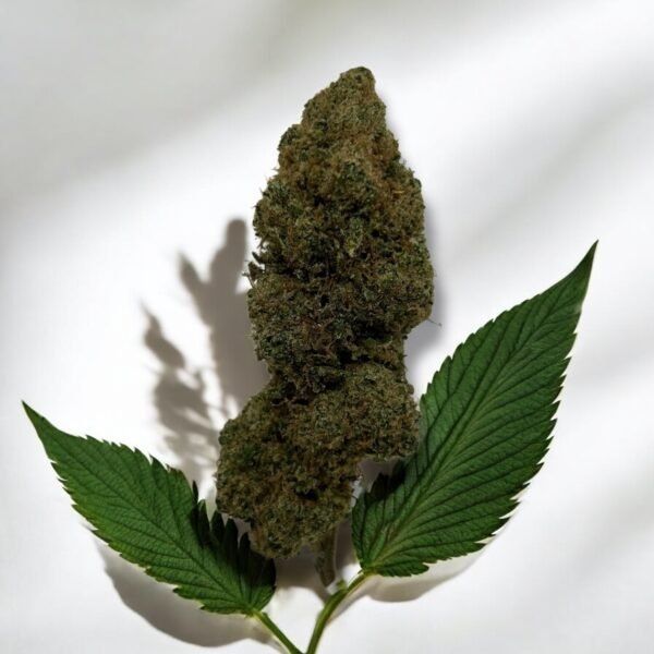 fleur de CBD F.O.G