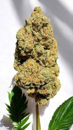 Fleur de CBD Amnesia
