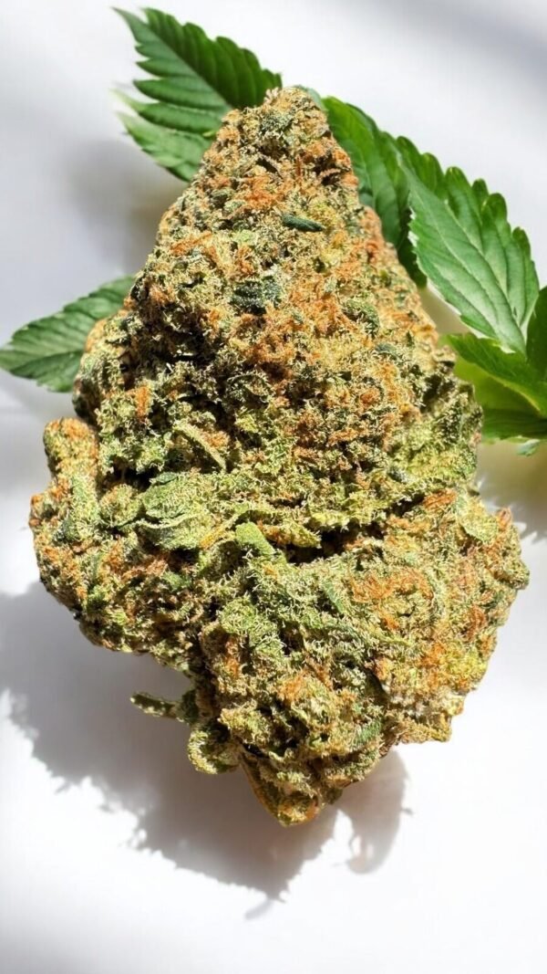 Fleur de CBD Berry